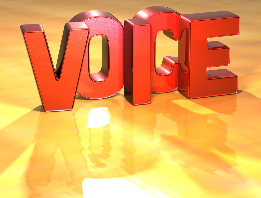 voice